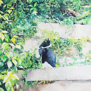 91看片淫黄大片91桃色
